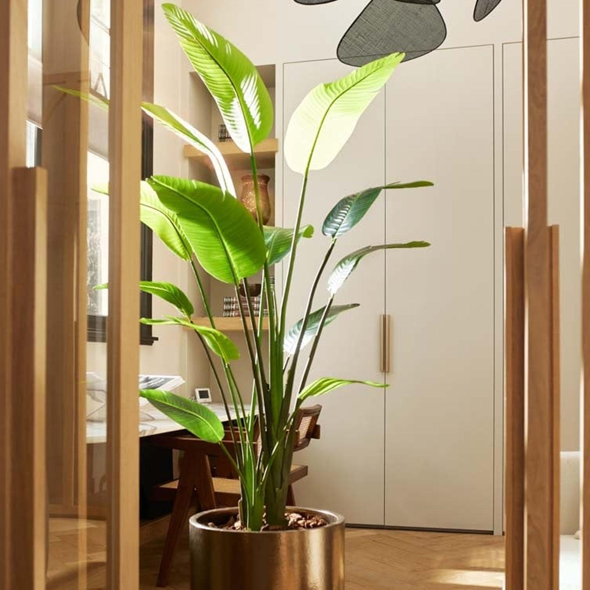 Strelitzia nicolai - 180 cm - In zwarte pot - Kunstplant