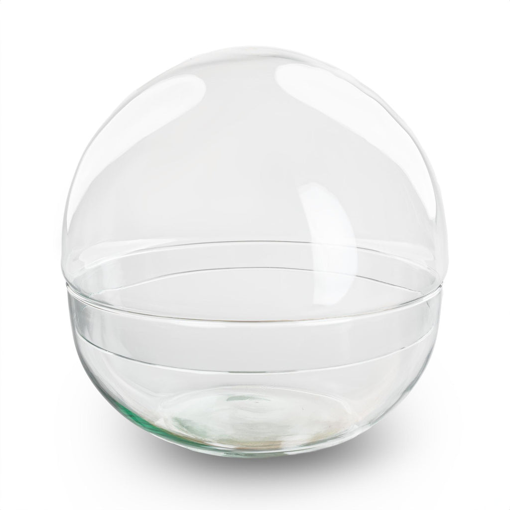 Terrarium bolglas tweedelig - Dome - Ø 20 cm ↑ 20 cm