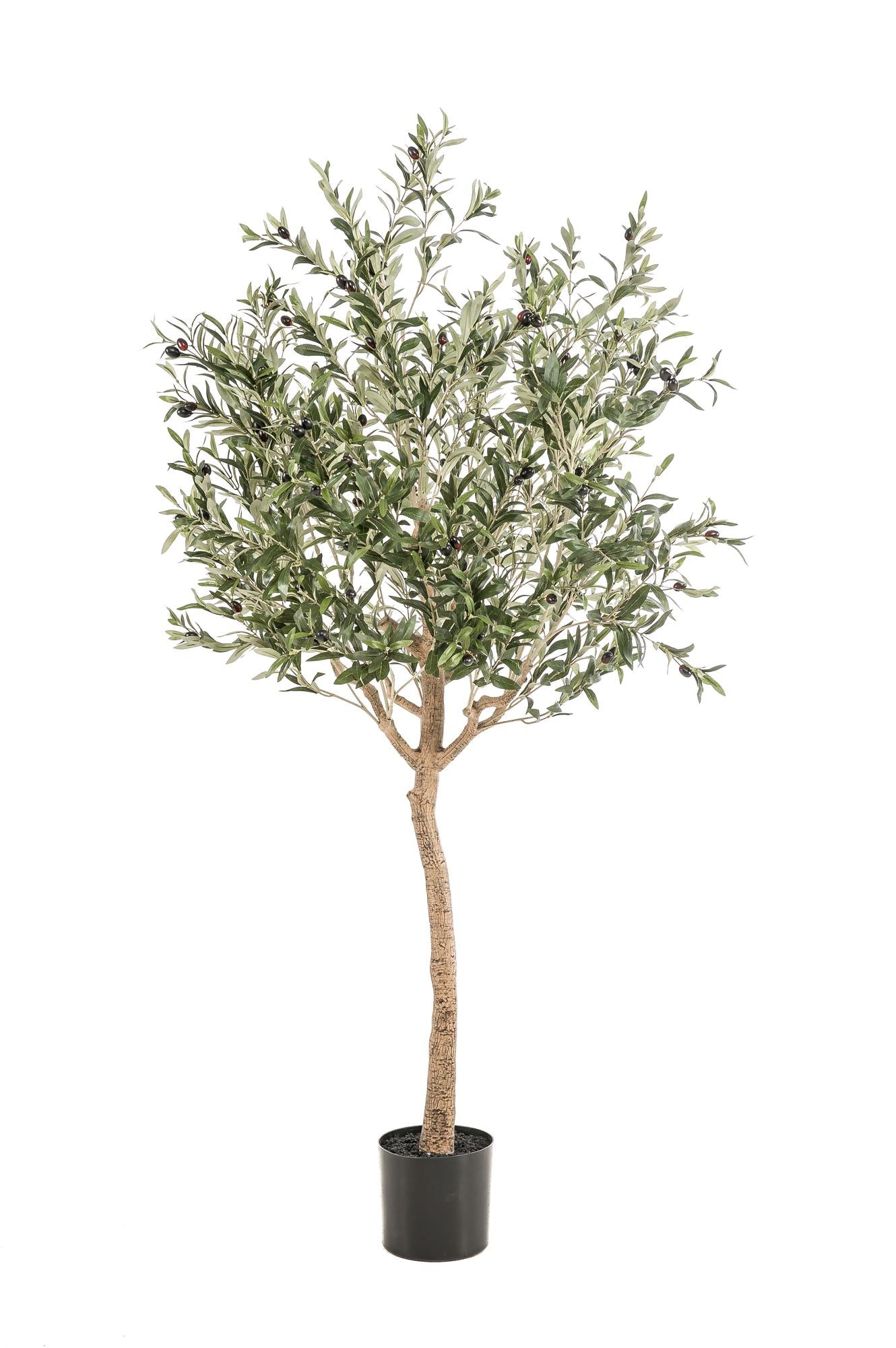 Kunst Olijfboom -  Olea europaea - Olijfboom - 180 cm