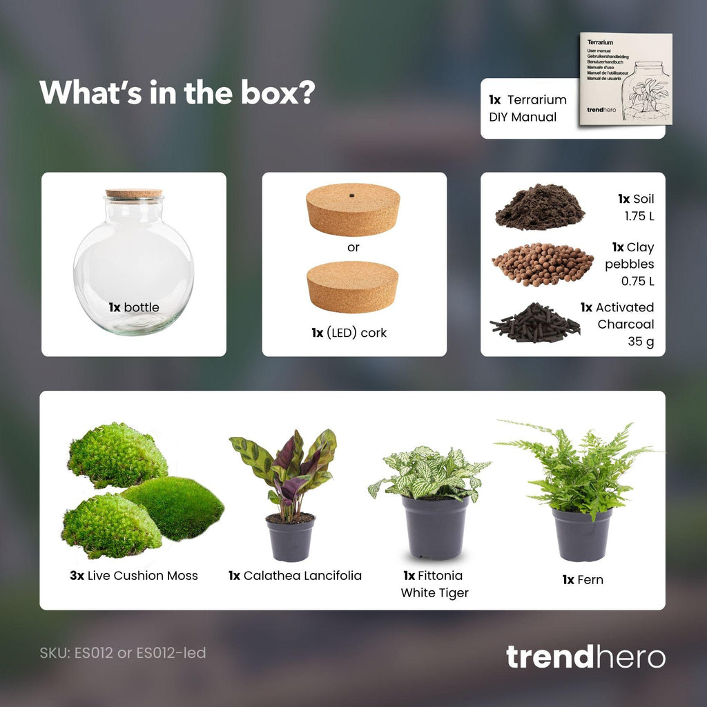 DIY Planten terrarium (met verlichting) - Bolder Bob - Ø 31 cm ↑ 30 cm - No tools