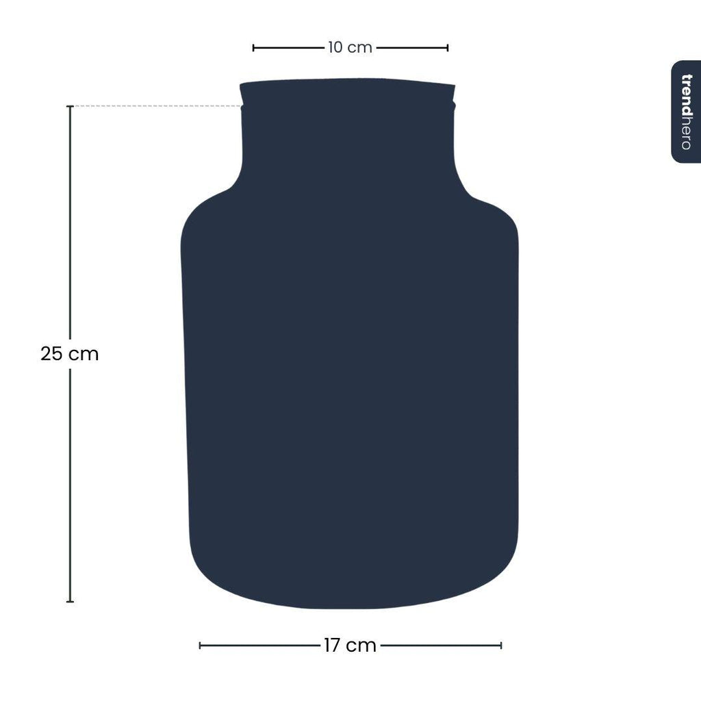 Frosty Kerstmis terrarium - Planten terrarium  DIY kit Christmas -  -  Ø 17 cm ↑ 25 cm