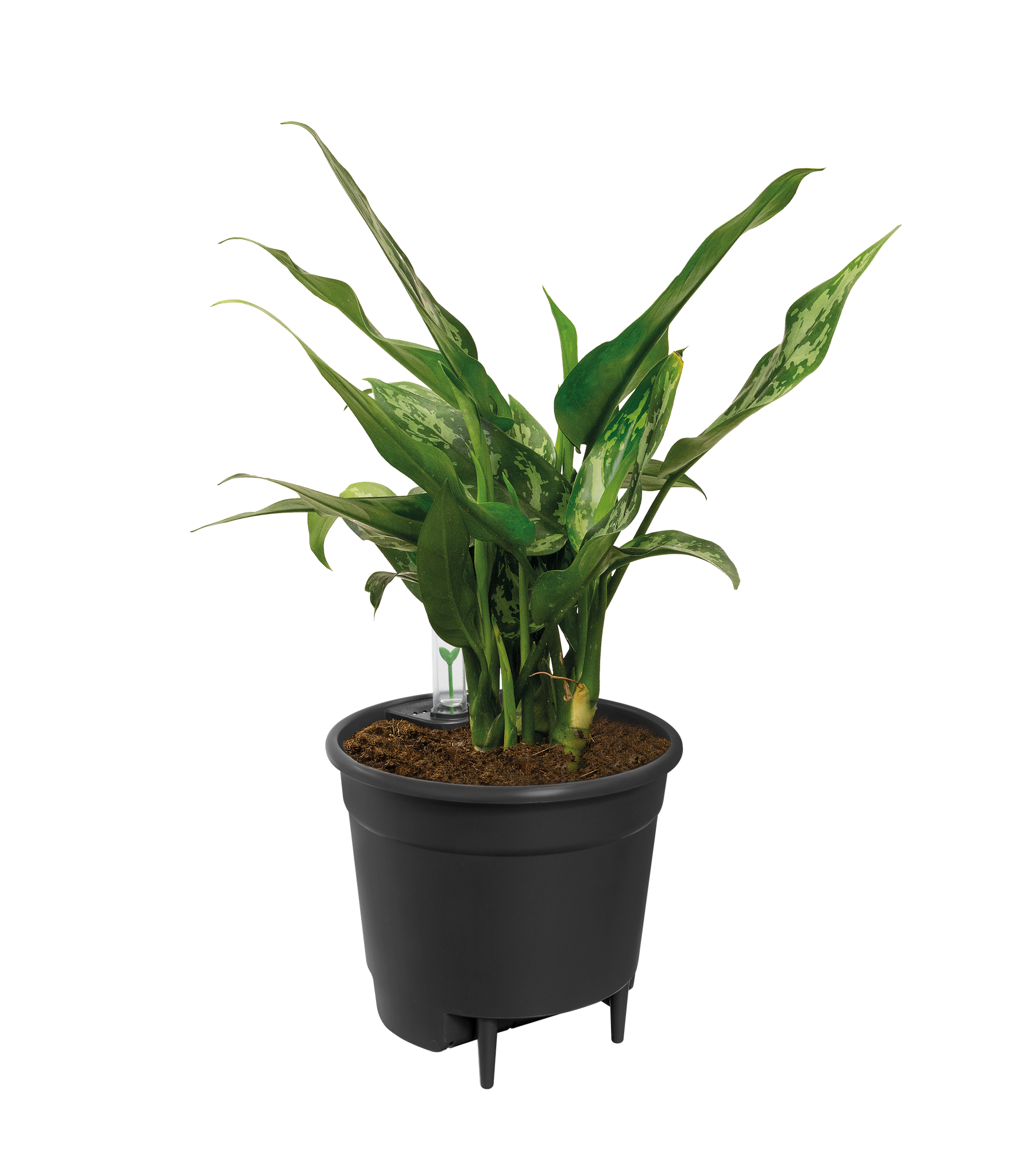 Self Watering Insert - 33 cm